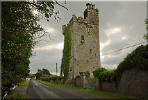 R6147 : Castles of Munster: Williamstown, Limerick (2) by Mike Searle