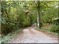 Public footpath and private road in Whittlesford