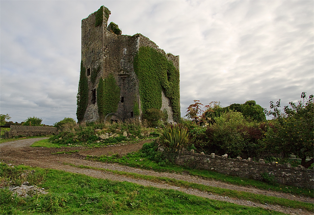 Castles of Munster: Lisnacullia, Limerick (2)