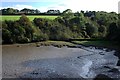 Unnamed Creek on the South Bank of the Camel Estuary