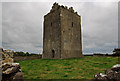 M9504 : Castles of Munster: Lackeen, Tipperary (1) by Mike Searle