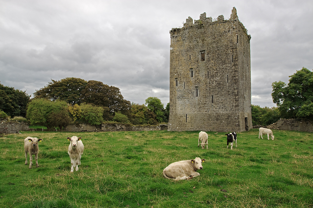 3 ireland. Поля графства Типперери.