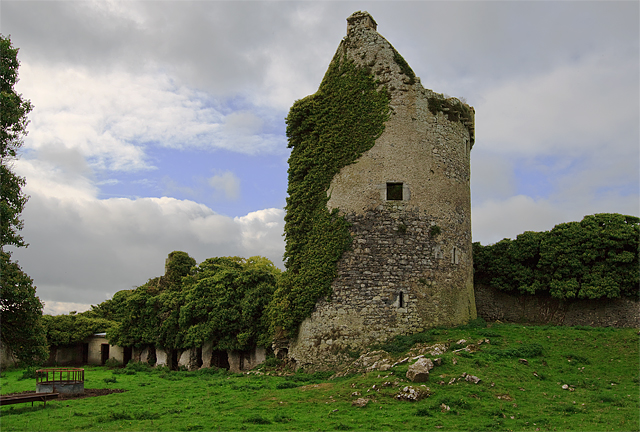 Castles of Munster: Moorstown, Tipperary (2)