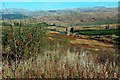 Minnoch Valley View