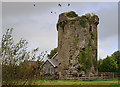 S0846 : Castles of Munster: Synone, Tipperary by Mike Searle