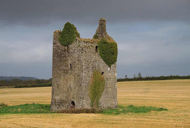 Castles of Munster: Gortmakellis, Tipperary (2)