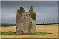 S0943 : Castles of Munster: Gortmakellis, Tipperary (2) by Mike Searle