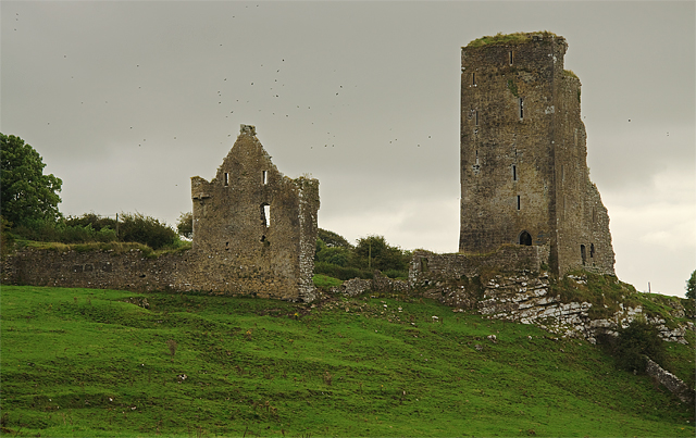 Castles of Munster: Graystown, Tipperary... © Mike Searle cc-by-sa/2.0 ...