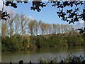 Hightown Lake