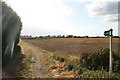 Footpath over the fields to Bampton