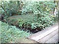 Footbridge in nature reserve