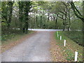 Bridleway exiting onto the A272