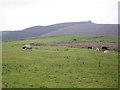 Armaghbrague Townland