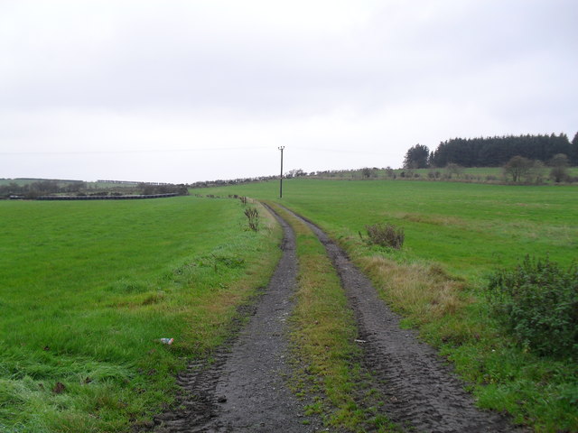 Laneway at Ballintemple