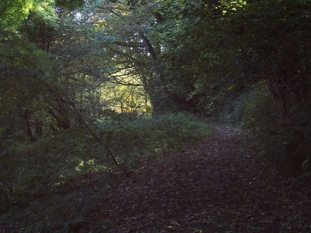 Woodland footpath to Aberlleiniog