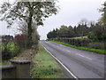 Newtown Road near Belleek