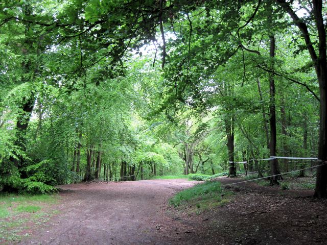 Track through the Mountain Bike Area,... © Chris Reynolds :: Geograph ...