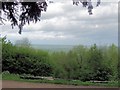 Trees hide the view over Aylesbury Vale from Aston Hill