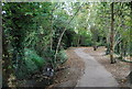 The Pen Stream woodland Path