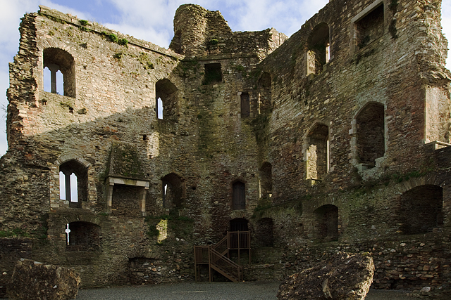 Castles of Leinster: Ferns, Wexford (3)