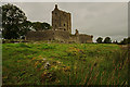 R4195 : Castles of Connacht: Fiddaun, Galway (5) by Mike Searle
