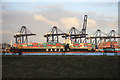 TM2634 : Container ships and cranes at Trinity Terminal by Bob Jones
