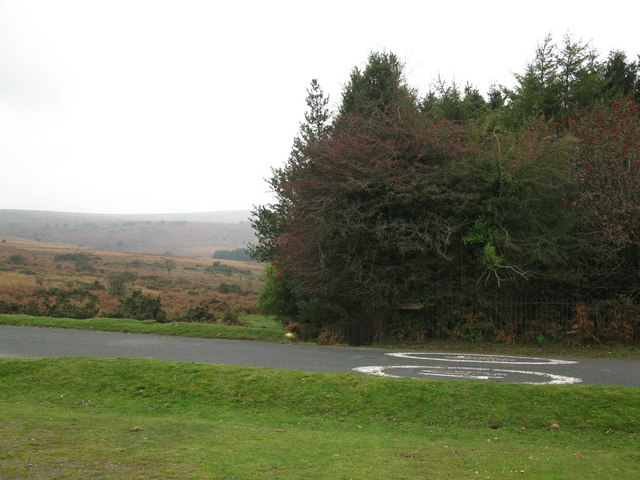 Forest corner near Venford Reservoir