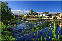 R5430 : The River Maigue at Bruree by Mike Searle
