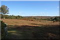 Heathland at Foulford