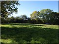 Meadow at Shobley