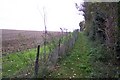 Footpath to Crouch Lane