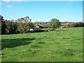 View across grazing land to Plas Iolyn Cottage, Llangoed