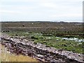 Rocky foreshore, East Long Skelly