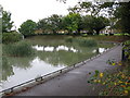 Pond for fishing, Radnor Park