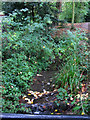 The Pent Stream in a park, Folkestone