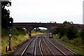 Bridge by Railwaybank Plantation