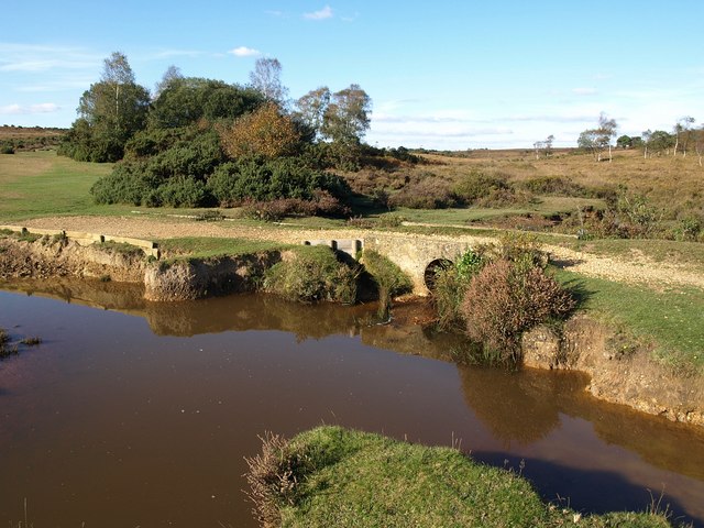 Mill Lawn Brook