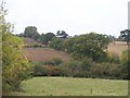 Across Nethercote Brook