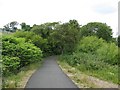 Paisley Canal Line