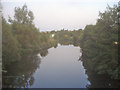 River Avon at Monkton Park