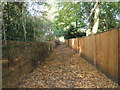 Leaves on the footpath from King Edward