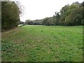 Long field, looking southwest