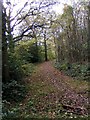 SO9580 : Path by edge of Uffmoor Wood, looking south by P L Chadwick