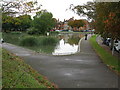 Small fishing pond in the NW corner of Radnor Park