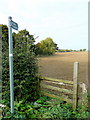 Footpath west to Groveleys