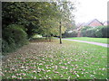 Autumn on the footpath from St James Lane to Stanmore