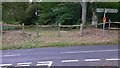 Abbotts Wood Inclosure viewed from Boundary Road