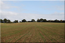 TQ5139 : Arable field, Chafford Park by N Chadwick