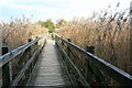 Walkway to Shell Bay Beach