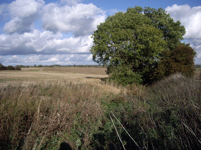 Remains of the Deserted Medieval Village (DMV) of "Willows"